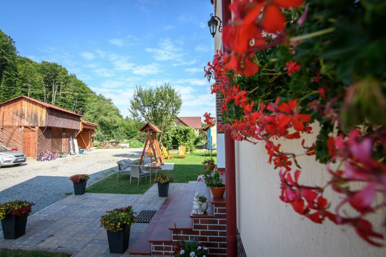 Casa Moldovan Sovata Bagian luar foto